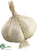 Garlic - Natural - Pack of 12