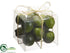 Silk Plants Direct Limes - Green Two Tone - Pack of 12