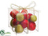 Silk Plants Direct Apple, Pear, Pomegranate Fruit - Red Green - Pack of 12