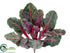 Silk Plants Direct Rhubarb Bush - Green Beauty - Pack of 6