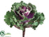 Silk Plants Direct Ornamental Cabbage - Purple Green - Pack of 12