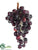 Grape Cluster - Grape - Pack of 6