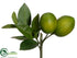 Silk Plants Direct Lime Pick - Green - Pack of 12