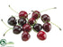Silk Plants Direct Mini Cherry - Red Dark - Pack of 12