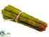Silk Plants Direct Asparagus - Green - Pack of 18