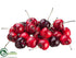 Silk Plants Direct Cherry - Red Dark - Pack of 6