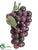 Round Grape - Black Burgundy - Pack of 36