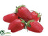 Silk Plants Direct Strawberry - Red - Pack of 24