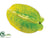 Star Fruit - Green - Pack of 12