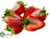 Silk Plants Direct Strawberry - Red - Pack of 12
