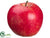 Apple - Red Two Tone - Pack of 12