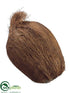 Silk Plants Direct Coconut - Brown - Pack of 6