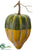 Gourd - Green Yellow - Pack of 6