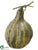 Squash - Green - Pack of 4