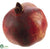 Pomegranate - Red - Pack of 12
