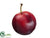 Plum - Red - Pack of 12
