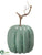 Pumpkin - Green Gray - Pack of 6