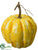 Pumpkin - Yellow Gold - Pack of 12