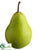 Pear - Green - Pack of 12