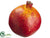 Pomegranate - Red Orange - Pack of 12