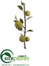 Silk Plants Direct Apple Branch - Green - Pack of 6