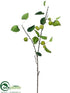 Silk Plants Direct Apple Spray - Lime - Pack of 12