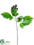 Silk Plants Direct Raspberry Spray - Black - Pack of 12