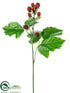 Silk Plants Direct Raspberry Spray - Red - Pack of 12
