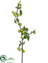 Silk Plants Direct Crabapple Spray - Green - Pack of 12