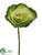 Cabbage Spray - Green Green - Pack of 12