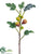 Fig Branch - Green Burgundy - Pack of 12