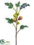 Silk Plants Direct Fig Branch - Green Burgundy - Pack of 12
