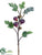 Fig Branch - Plum - Pack of 12