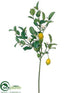 Silk Plants Direct Lemon Spray - Green Yellow - Pack of 6