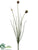 Onion Bloom Spray - Burgundy - Pack of 12