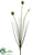 Silk Plants Direct Onion Bloom Spray - Green - Pack of 12