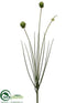 Silk Plants Direct Onion Bloom Spray - Green - Pack of 12