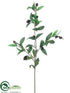 Silk Plants Direct Olive Branch - Green Burgundy - Pack of 12