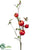 Pomegranate Branch - Red Green - Pack of 4