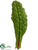 Rhubarb Leaf Spray - Green Burgundy - Pack of 12