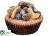 Silk Plants Direct Nut Muffin - Brown - Pack of 24