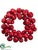 Apple Wreath - Red - Pack of 2