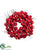 Apple Wreath - Red - Pack of 1