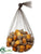 Acorn - Orange - Pack of 12