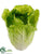 Cabbage - Green - Pack of 4