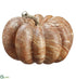 Silk Plants Direct Marble-Look Pumpkin - Brown Cream - Pack of 6
