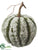 Pumpkin - Green - Pack of 6