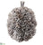 Pine Cone Pumpkin - Whitewashed - Pack of 8