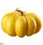 Pumpkin - Yellow Soft - Pack of 4
