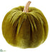 Silk Plants Direct Velvet Pumpkin - Green - Pack of 12